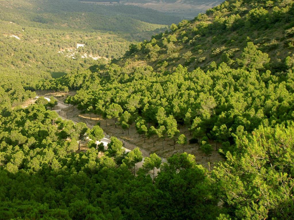 Hotel Rural Mas Fontanelles Бьяр Экстерьер фото